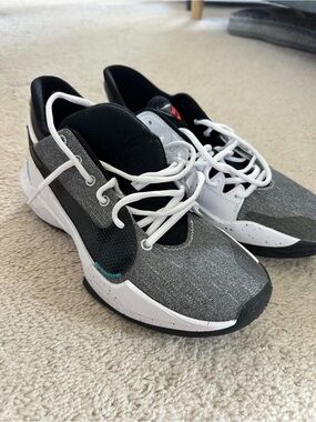 Nike Giannis Freak 2